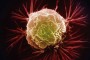 پزشکی نانو: نارنجک‌ میکروسکوپی سلول‌های سرطانی را هدف می‌گیرد