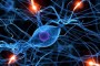 امیدی تازه برای بیماران مبتلا به ALS: ایمپلنت مغزی