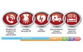 پروتکل جدید انجمن قلب آمریکا در زمینه احیای قلبی ریوی منتشر شد