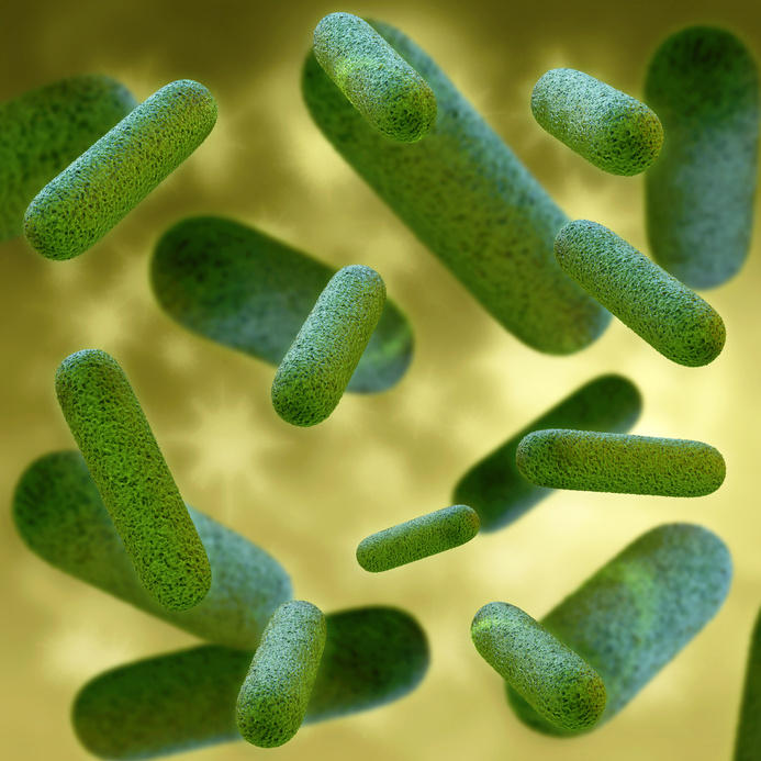 کشف نوعی باکتری مقاوم در برابر تمام آنتی بیوتیک‌ها
