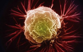 پزشکی نانو: نارنجک‌ میکروسکوپی سلول‌های سرطانی را هدف می‌گیرد