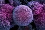 ژن‌های خودکشی کننده، درمانی جدید برای سرطان پروستات
