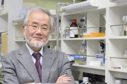 يوشينوری اوسومی دانشمند ژاپنی جایزه نوبل پزشکی 2016 را به خود اختصاص داد
