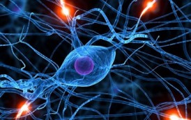 امیدی تازه برای بیماران مبتلا به ALS: ایمپلنت مغزی