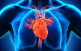 بررسی تاثیر فعالیت تنفسی بر بازگشت وریدی قلب