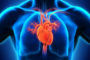بررسی تاثیر فعالیت تنفسی بر بازگشت وریدی قلب